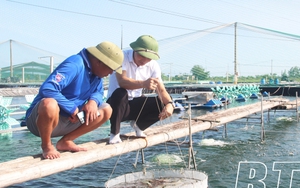 Thái Bình: Tăng cường cơ chế, chính sách hỗ trợ bảo vệ môi trường, cấp nước sạch nông thôn - Ảnh 3.