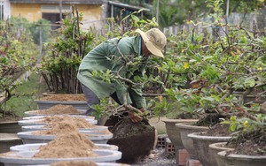 Ở một khu rừng nổi tiếng này của Đắk Lắk, người ta đang vô xem con động vật hoang dã khổng lồ.- Ảnh 11.