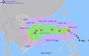 Tin mới nhất về bão Trà Mi: Là cơn bão rất phức tạp, đổi hướng 4 lần trước khi vào Biển Đông - Ảnh 2.