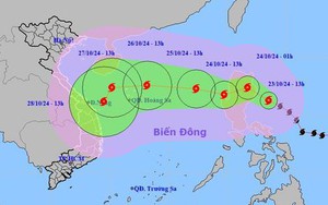 Phó Chủ tịch Thường trực tỉnh Quảng Ngãi chỉ đạo khẩn đối phó với bão TRAMI- Ảnh 4.