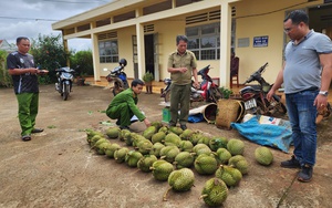 Công an khám xét nhà nguyên Phó Chủ tịch UBND huyện Bảo Lâm, Lâm Đồng- Ảnh 5.