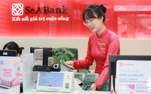 SeABank triệu tập ĐHĐCĐ bất thường bầu bổ sung thành viên Ban Kiểm soát - Ảnh 2.