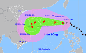 Đà Nẵng tập trung chủ động ứng phó bão Trà Mi- Ảnh 5.