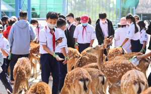 Một khu rừng nổi tiếng Đồng Nai, ban đêm soi thấy động vật hoang dã lang thang đi tìm nước uống - Ảnh 4.