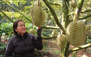 Mới đạt 2/9 tiêu chí, huyện Bình Sơn của tỉnh Quảng Ngãi khó về đích nông thôn mới năm 2024 - Ảnh 9.