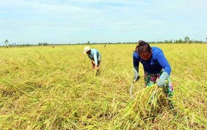 Một hổ tướng vương triều nhà Nguyễn chỉ huy trận hải chiến trên Biển Đông - Ảnh 4.