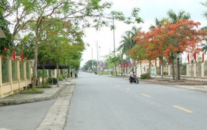 Không cho đất nghỉ - Ảnh 4.