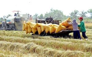 Ông Nguyễn Hồng Hải, Phó Chủ tịch UBND tỉnh Bình Thuận chủ trì hội nghị đối thoại với nông dân - Ảnh 9.