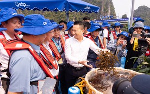 Sống "khốn khổ" cạnh đường mòn Hồ Chí Minh vì tiếng còi hơi của xe tải trọng lớn - Ảnh 7.