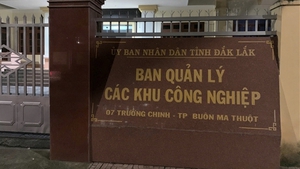 bắt giam nguyên giám đốc ban quản lý dự án ở đắk lắk- Ảnh 2.