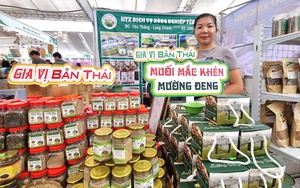 Thanh Hóa: Xây dựng thôn thông minh, kéo gần khoảng cách nông thôn - thành thị - Ảnh 9.