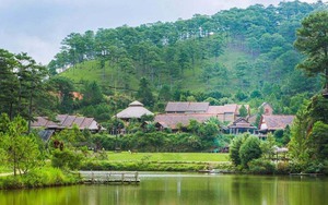 Lâm Đồng hướng tới mục tiêu “Cao nguyên xanh”: Tỉnh quyết tâm, doanh nghiệp đồng hành ủng hộ- Ảnh 10.