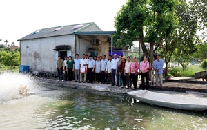 Ninh Bình: Thành lập Chi hội nông dân nghề nghiệp trồng rau an toàn Sơn Lai - Ảnh 3.