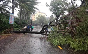 Khởi tố, bắt tạm giam nguyên Phó Giám đốc Ngân hàng Việt Á chi nhánh Hội An - Ảnh 5.