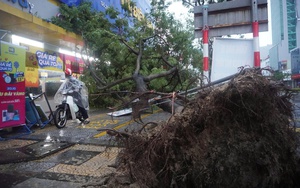 NÓNG: Ngay sau bão số 6, ngoài khơi Philippines xuất hiện cơn bão mới, liệu có đổ bộ vào Biển Đông? - Ảnh 3.