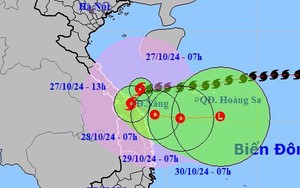 Bão số 6 - Trà Mi: Tại Quảng Nam có 2 người bị thương, nhiều nhà tốc mái- Ảnh 6.