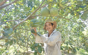 Nông dân Đà Nẵng chung tay xử lý rác thải, cùng cộng đồng giảm phát thải khí nhà kính - Ảnh 12.