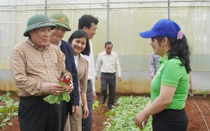 Ông Nguyễn Hồng Hải, Phó Chủ tịch UBND tỉnh Bình Thuận chủ trì hội nghị đối thoại với nông dân - Ảnh 7.