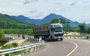 Là 1 trong 3 tỉnh phải kiểm điểm trách nhiệm gửi Thủ tướng, Bình Định "chạy đua" gỡ thẻ vàng IUU - Ảnh 5.