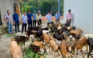 Sau Hội nghị Thủ tướng đối thoại với nông dân năm 2023: Đổi mới hoạt động Quỹ Hỗ trợ nông dân ngày càng hiệu - Ảnh 8.