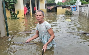 Nông dân Trần Kim Phi: Lũ đổ về quá nhanh khiến ao cá vỡ thiệt hại hơn 3 tấn cá lóc - Ảnh 8.