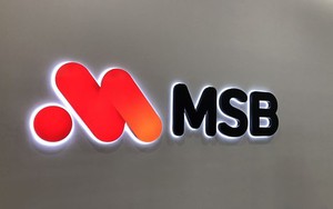 MSB công bố kết quả kinh doanh 9 tháng đầu năm 2024 - Ảnh 2.