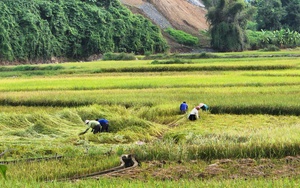 Khu vực nào có nhiều gói thầu đầu tư công chỉ 1 đơn vị tham gia? - Ảnh 9.