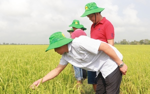 Biến chất thải thành tiền, sử dụng các giải pháp tuần hoàn liên tục, triệt để nhằm giảm mạnh phát thải khí nhà kính - Ảnh 6.