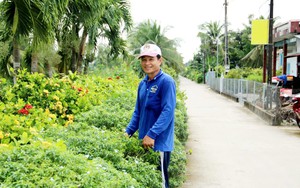 Những làng quê đáng sống ở Kiên Giang - Ảnh 1.