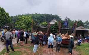 “Cùng ngư dân thắp sáng đèn trên biển”, khơi dậy tình yêu chủ quyền biển, đảo của ngư dân Hà Tĩnh- Ảnh 6.