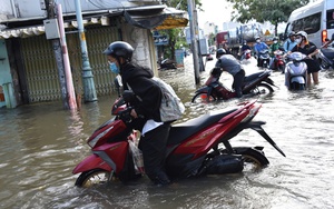 Hơn 47 tỷ đồng tiền phạt thu được sau một năm thí điểm sử dụng cân tự động ở TP.HCM- Ảnh 4.