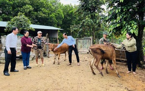 Khởi tố, bắt tạm giam nguyên Tổng Giám đốc Công ty CP Bách Đạt An về tội "Tham ô tài sản"- Ảnh 4.