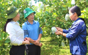 nam thanh niên lừa đảo mua hàng qua mạng xã hội - Ảnh 3.