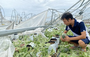 Sau Hội nghị Thủ tướng đối thoại với nông dân năm 2023: Đổi mới hoạt động Quỹ Hỗ trợ nông dân ngày càng hiệu - Ảnh 6.