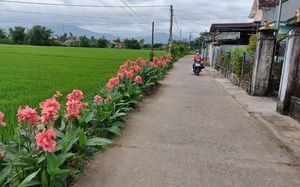 Bảo vệ môi trường - điểm nhấn trong xây dựng nông thôn mới tại Phú Yên- Ảnh 12.