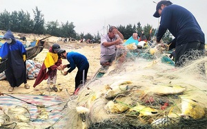 Chi hàng chục tỷ trồng lan công nghệ cao, một người Thái Nguyên tham vọng xuất khẩu ra nước ngoài - Ảnh 9.