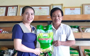 Hợp tác xã này của Đắk Lắk trồng sầu riêng, trồng cà phê, gặp thời giá tốt, bán được nhiều tiền- Ảnh 5.