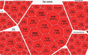 TP. Hồ Chí Minh: Nguồn cung bất động sản mới 'nhỏ giọt', phân khúc nào là điểm sáng thu hút khách hàng? - Ảnh 5.