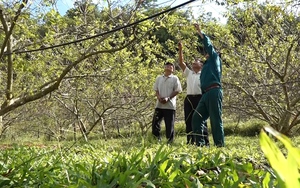 Tân Trưởng Ban Tuyên giáo Huyện ủy Yên Châu (Sơn La) là ai? - Ảnh 3.