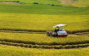 Đồng chí Lương Quốc Đoàn, Chủ tịch Trung ương Hội Nông dân Việt Nam thăm, tặng quà tại Lào Cai - Ảnh 3.