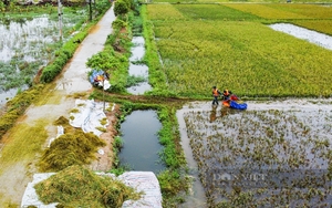 Sụp bể tan hoang nhiều đoạn đường bờ kè sông Trà Câu của Quảng Ngãi sau đợt mưa lũ- Ảnh 9.