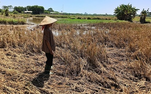 Nông dân kiệt sức sau bão lũ: Sắp có phương án, tài liệu hướng dẫn người dân thích ứng với siêu bão, thảm họa - Ảnh 8.