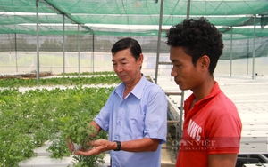 Chủ tịch Hội Nông dân Hậu Giang: Chương trình Tự hào Nông dân Việt Nam thêm niềm tin, động lực - Ảnh 6.