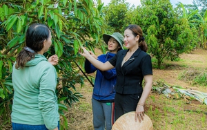 Nghệ An: Đội bóng Hội Nông dân Con Cuông lên ngôi tại giải bóng chuyền hơi cán bộ Hội chuyên trách - Ảnh 6.