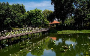 Từ cậu bé chăn trâu, chàng trai Hà Tĩnh có doanh thu hàng chục tỷ đồng nhờ khai thác "mỏ vàng" này- Ảnh 8.