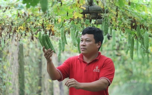 Vụ nhà máy xả thải ra môi trường: Chủ tịch UBND TP Hòa Bình chỉ đạo "nóng" - Ảnh 6.