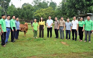 Chủ tịch Hội Nông dân Hà Tĩnh, qua Chương trình Tự hào Nông dân Việt Nam, nông dân được tôn vinh - Ảnh 8.