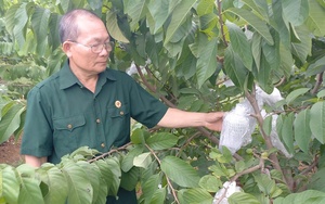 Nông dân vùng biên thi đua sản xuất kinh doanh giỏi giúp nhau làm giàu - Ảnh 8.