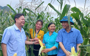 Những nông dân đầu tiên về dự chuỗi Chương trình Tự hào Nông dân Việt Nam: Kiến nghị nhiều vấn đề "nóng" của tam nông- Ảnh 7.