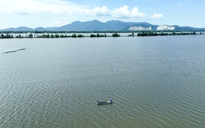 Đường hoa sao nhái vạn người mê ở một xã nông thôn mới An Giang, hoàng hôn xuống đẹp như phim - Ảnh 3.